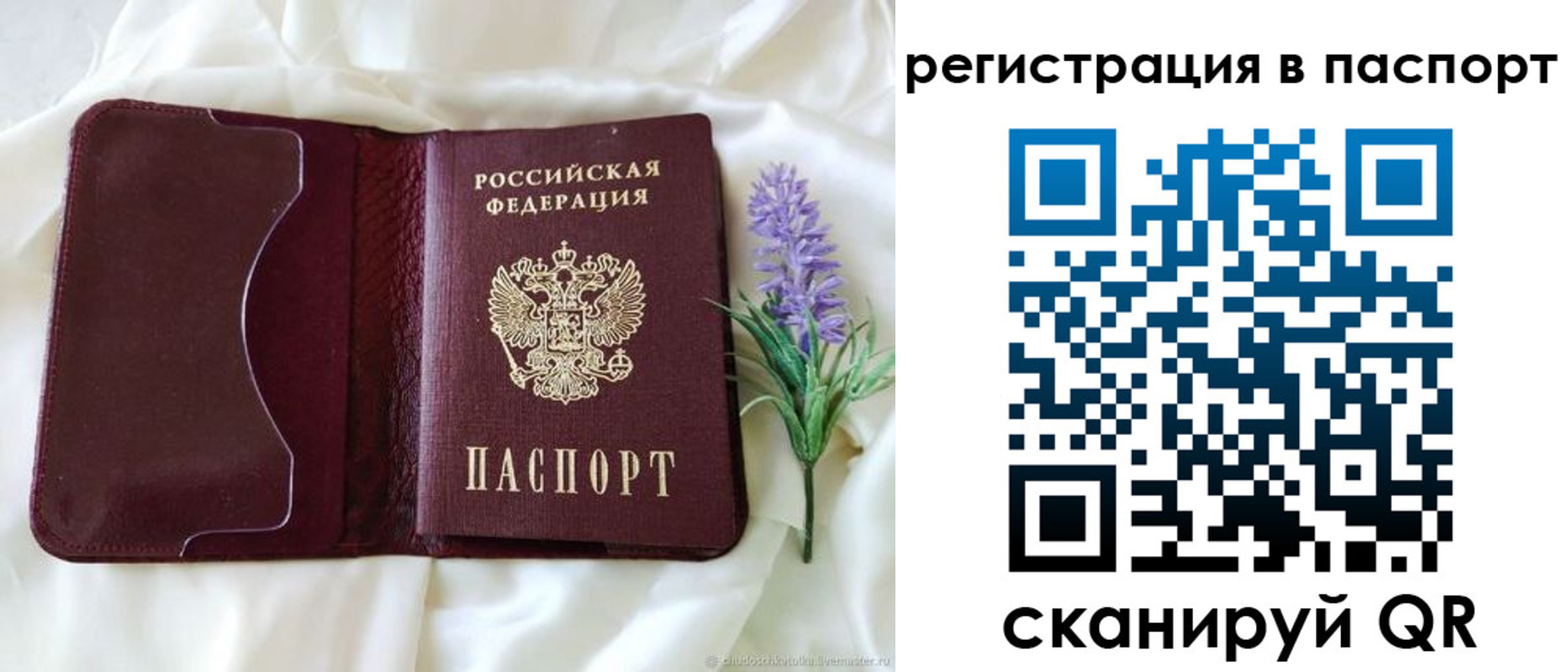 временная регистрация для всех в Ржеве